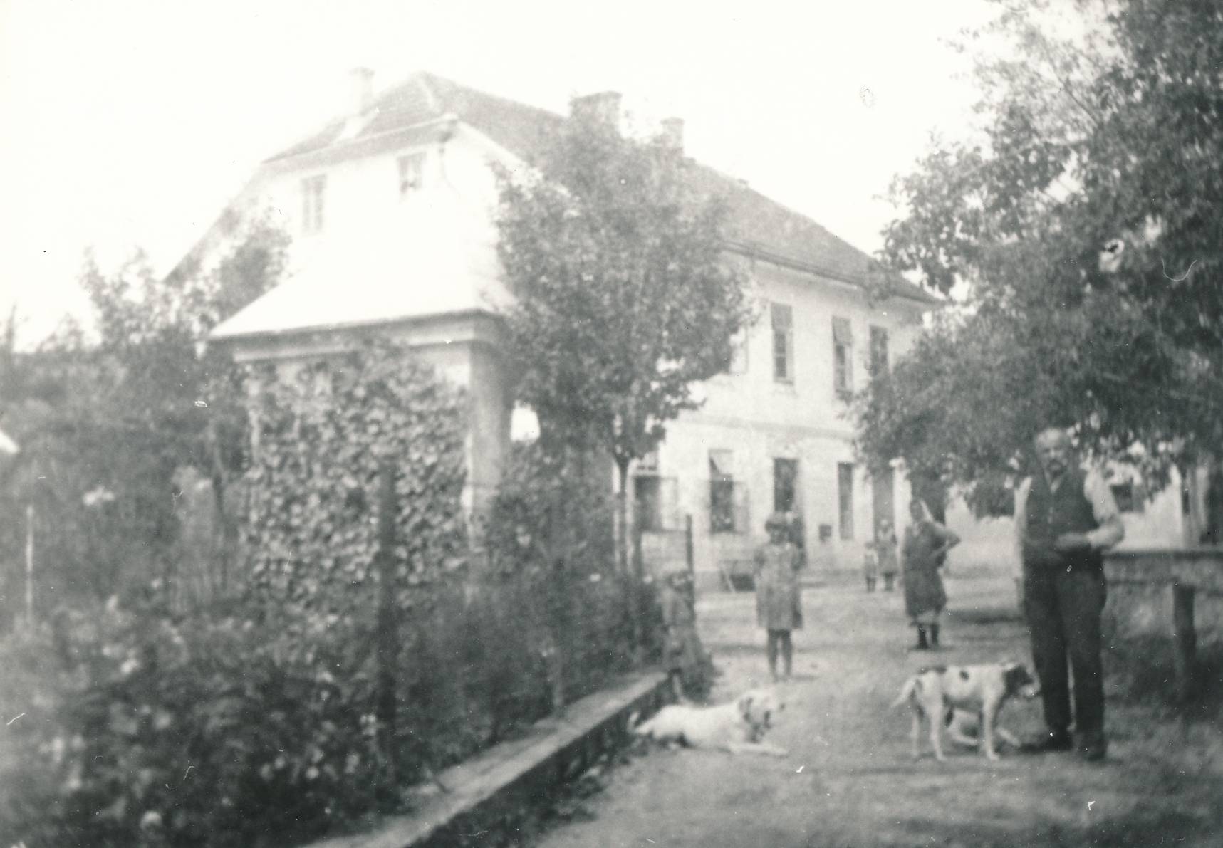 eika image
